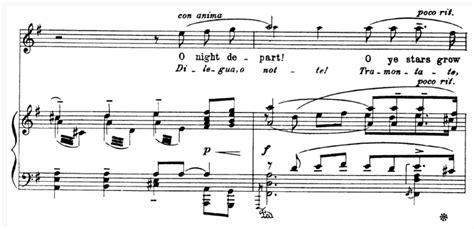 Nessun Dorma A Poignant Aria Overflowing With Dramatic Tension and Lyrical Flourishes